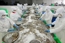 Chế biến thủy sản xuất khẩu. (Ảnh: Vũ Sinh/TTXVN)