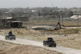 Các lực lượng Chính phủ Iraq tuần tra tại Shuhada, khu vực ngoại ô Fallujah ngày 10/6. (Nguồn: AFP/TTXVN)