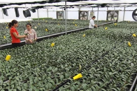 Ngăn chặn việc thu gom gen quý của tư thương nước ngoài