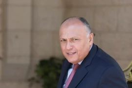 Ngoại trưởng Ai Cập Sameh Shoukry. (Nguồn: EPA/TTXVN)