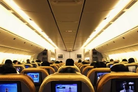 Ảnh minh họa. (Nguồn: Youtube)