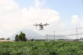 (Ảnh minh họa: Lê Đức Hoảnh/TTXVN) 