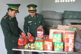 (Ảnh minh họa: Trọng Đức/TTXVN)