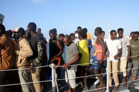 Ảnh minh họa. (Nguồn: THX/TTXVN) 