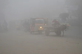 Các phương tiện lưu thông trong bầu không khí mù mịt tại Lahore, Pakistan ngày 4/11. (Nguồn: THX/TTXVN)