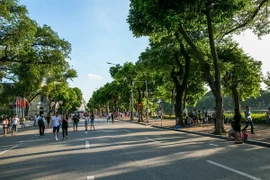 Không gian thanh bình của phố đi bộ những ngày cuối tuần. (Ảnh: Trọng Đạt/TTXVN)