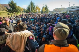 Người di cư tại khu vực biên giới Slovenia-Áo ngày 3/11. (Nguồn: AFP/TTXVN)