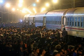 Người di cư tranh nhau lên tàu tại thị trấn Tovarnik, phía đông Croatia, giáp giới Serbia ngày 18/9. (Nguồn: AFP/ TTXVN)