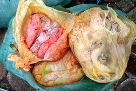 (Ảnh minh họa: Văn Đạt/TTXVN)