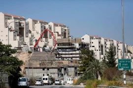 Xây nhà tại khu định cư Kiryat Arba, phía đông Hebron, Bờ Tây ngày 24/8. (Nguồn: AFP/TTXVN)