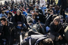 Người di cư từ Liberia, Maroc, Pakistan, Sri Lanka và Sudan tại khu vực Gevgelija ở biên giới Macedonia-Hy Lạp ngày 19/11. (Nguồn: AFP/TTXVN)