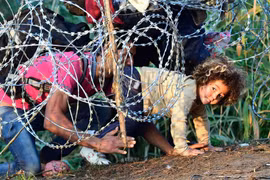 Người nhập cư chui qua hàng rào thép gai tại biên giới Hungary-Serbia. (Nguồn: AFP) 