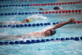 (Ảnh minh họa: Thanh Tùng/TTXVN)