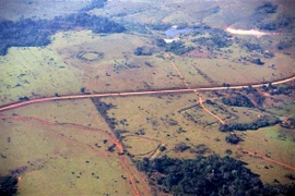 (Nguồn: Sanna Saunaluoma) 