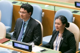 Đại sứ Nguyễn Phương Nga (phải). (Ảnh: Lê Dương/TTXVN)