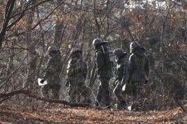 Binh sỹ Hàn Quốc tuần tra gần khu vực Paju, giáp biên giới liên Triều ngày 14/2/2016. (Nguồn: AFP/TTXVN)