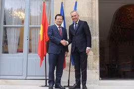 Phó Thủ tướng Trịnh Đình Dũng và Bộ trưởng Môi trường Pháp François de Rugy. (Ảnh: Linh Hương/TTXVN) 