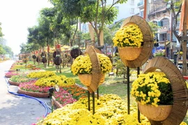 Đường hoa Nguyễn Huệ. (Ảnh: Phương Vy/TTXVN)