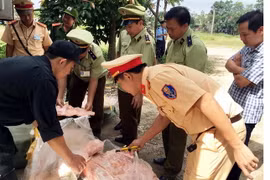 Lực lượng chức năng kiểm tra số thịt vừa bị tịch thu. (Ảnh: Phan Quân/TTXVN)