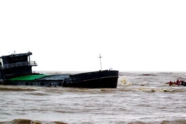 (Ảnh minh họa: Mạnh Thành/TTXVN)