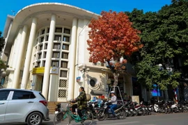 (Ảnh minh họa: Thành Đạt/TTXVN)