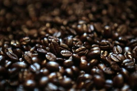 Lễ hội càphê quốc tế sắp được tổ chức tại Ấn Độ