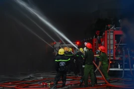 (Ảnh minh họa: Mạnh Linh/TTXVN)