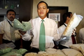 Các loại ma túy mới phá hủy sức khỏe ở mức khủng khiếp