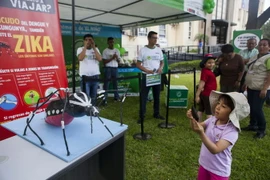 Bộ Y tế Peru đưa ra các thông tin về virus Zika nhằm giúp người dân phòng tránh sự lây lan của loại virus nguy hiểm này tại thủ đô Lima ngày 27/1. (Nguồn: AFP/TTXVN)