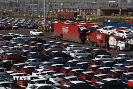 Ảnh minh họa. (Nguồn: TTXVN)