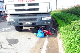 (Ảnh minh họa: Mạnh Linh/TTXVN) 