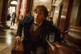 Scamander trong 'Fantastic Beasts and Where to Find Them."(Nguồn: theguardian.com)