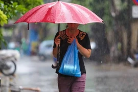 (Ảnh minh họa: Lê Minh Sơn/Vietnam+)