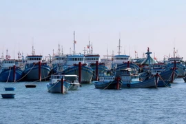 Đội tàu đánh bắt xa bờ của huyện đảo Phú Quý. (Ảnh : Nguyễn Thanh/TTXVN)