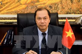 Thứ trưởng Bộ Ngoại giao Nguyễn Quốc Dũng. (Ảnh: TTXVN)