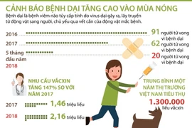 [Infographics] Đã có 20 người tử vong vì bệnh dại trong 5 tháng