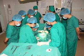 (Ảnh minh họa: Văn Tý/TTXVN) 