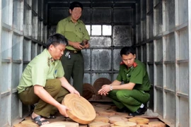 (Ảnh minh họa: Thu Hằng/TTXVN)