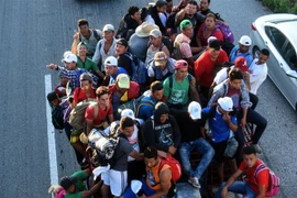 Người di cư Honduras bắt xe tải ở Mapastepec tới bang Pijijiapan Chiapas, Mexico, chờ cơ hội sang Mỹ ngày 25/10/2018. (Nguồn: AFP/TTXVN) 