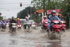 (Ảnh minh họa: Nguyễn Thảo/TTXVN)