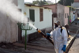 Nhân viên y tế Brazil phun thuốc khử trùng nhằm ngăn chặn sự lây lan của virus Zika tại Gama ngày 17/2. (Nguồn; AFP/TTXVN)
