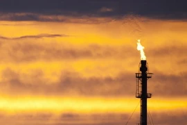 Ảnh minh họa. (Nguồn: AFP/TTXVN)