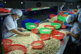 Các doanh nghiệp bị thiệt hại ở Bình Dương nhận tiền bảo hiểm