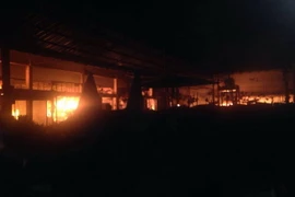 (Ảnh minh họa: Nguyễn Chiến/TTXVN)