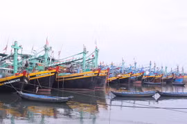 (Ảnh minh họa: Hồng Hiếu/TTXVN) 