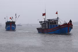 (Ảnh minh họa: Hồ Cầu/TTXVN) 