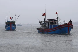 (Ảnh minh họa: Hồ Cầu/TTXVN) 