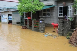 Nhiều điểm nước ngập sâu hơn 1m gây ảnh hưởng đến cuộc sống người dân. (Ảnh: Quang Duy/TTXVN)