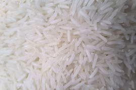 Gạo ST24 của Sóc Trăng được công nhận là gạo ngon nhất thế giới