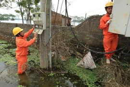 (Ảnh minh họa: Ngọc Hà/TTXVN)